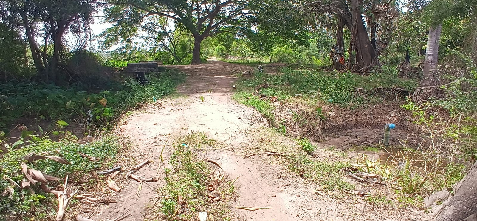 Agricultural Land